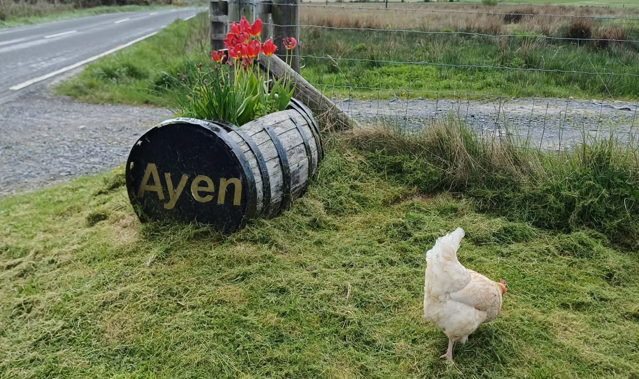Ayen Cottage – a welcoming base for your Islay stay